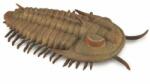 CollectA Figurina pictata manual Trilobit Redlichia Rex Trilobite (COL88906L) Figurina