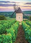 Nathan - Puzzle Moulin Sorine - Vignoble de Santenay - Bourgogne - 1 000 piese Puzzle