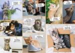 Nathan - Puzzle Prostia pisicilor - 1 500 piese Puzzle