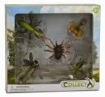 CollectA Set 5 figurine Insecte - Collecta (COL89135WB) - bekid Figurina