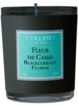 Collines de Provence Lumânare parfumată „Floarea coacăzului negru - Collines de Provence Blackcurrant Flower Candles 180 g