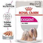 Royal Canin CCN Exigent Wet 24x85 g