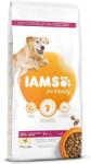 Iams Dog Senior Large Chicken 12 kg