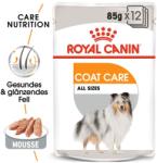Royal Canin Coat Care Wet 12x85 g