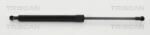 TRISCAN Amortizor portbagaj TRISCAN 8710 40229 (8710 40229) - automobilus
