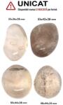 Palm Stone Cuart Fumuriu Natural - 35-53 x 36-44 x 28-34 mm - ( XXL )