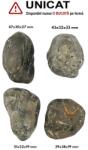 Palm Stone Pirita Natural - 39-51 x 30-38 x 19-33 mm - ( XXL )