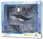 CollectA Set 6 figurine Viata Marina (COL84050WB) Figurina