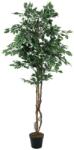  EUROPALMS Variegated Ficus, artificial plant, 180cm (82506116)
