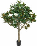  EUROPALMS Magnolia tree, artificial plant, 150cm (82507255)