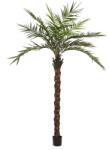  EUROPALMS Kentia palm tree deluxe, artificial plant, 300cm (82511370)