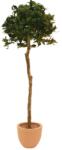  EUROPALMS Laurel ball tree, artificial plant, 180cm (82506946)