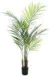  EUROPALMS Areca palm with big leaves, artificial plant, 125cm (82509440)