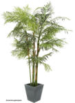  EUROPALMS Cycas palm, artificial plant, 280cm (82511360)