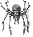 Europalms Monsterspider ca. 130cm (8331465N)