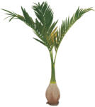  EUROPALMS Phoenix palm, artificial plant, 240cm (82511353)