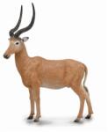 CollectA Figurina Antilopa Hirola L Collecta (COL88757L) - bekid Figurina