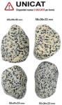 Palm Stone Jasp Dalmatian Natural - 50-60 x 36-44 x 18-32 mm - (XXL) - 1 Buc
