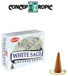 HEM Conuri Parfumate Salvie Alba - HEM white Sage Incense Cones