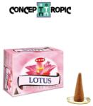 HEM Conuri Parfumate - HEM Lotus Incense Cones