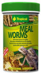 Tropical Meal worms 250ml/30g