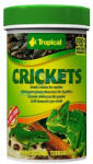 Tropical Crickets 250 ml/25 g szárított tücskök hüllőknek