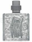 Cerruti 1881 Silver for Men EDT 100 ml Parfum