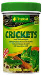 Tropical Crickets 100ml/10g szárított tücskök hüllőknek