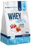 ALLNUTRITION Whey Delicious 700 g