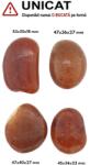 Palm Stone Carneol Natural - 45-53 x 34-40 x 18-27 mm - (XXL) - 1 Buc