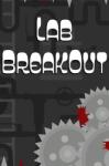 Piece Of Voxel Lab BreakOut (PC)