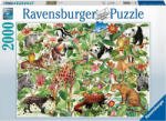 Ravensburger Puzzle Harta Lumii, 2000 Piese - Ravensburger (rvspa16825) Puzzle