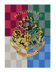 BrandMac Harry Potter polár takaró Hogwarts 100x140cm (BRM007017)