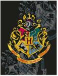 BrandMac Harry Potter polár takaró címer 100x140cm (BRM007024)