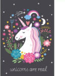  Unikornis Are Real polár takaró 100x140cm (BRM007048)