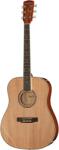 Harley Benton D-120NT
