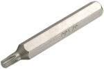 SW-Stahl 05233L Bitfej, T40x75mm