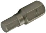 SW-Stahl 05124L Bitfej, 8mm