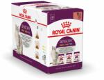 Royal Canin Royal Canin Pachet de testare Sensory Smell Taste Feel în sos - 24 x 85 g