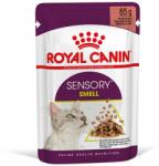 Royal Canin Royal Canin Sensory Smell în sos - 12 x 85 g