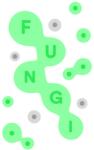 Nonline Studios FUNGI (PC)