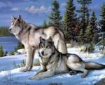 Két farkas a havas tájban kreatív gyémánt kirakó készlet (Négyzetes gyémántszemek, 40x30 cm)