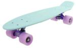 DHS 521PB Pastel Green/Mauve Skateboard