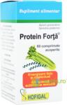 Hofigal Protein Forta 60cpr - vegis