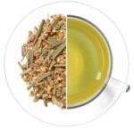 OXALIS Ayurvéda tea citrom - gyömbér 70 g