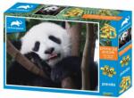 Prime 3D Óriáspanda 3D hatású puzzle 500 db-os (PRI-10382)