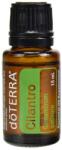 dōTERRA Ulei Esential Cilantro(Coriandru-frunza), 15 ml, DōTerra