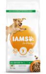 Iams for Vitality táp nagy termetű felnőtt kutyák számára bárányhússal. 3KG