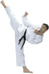 FUJIMAE WT taekwondo edzőruha 10200 07 (10200 07)