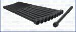 AJUSA Set surub, chiulasa AJUSA 81020300 (81020300)